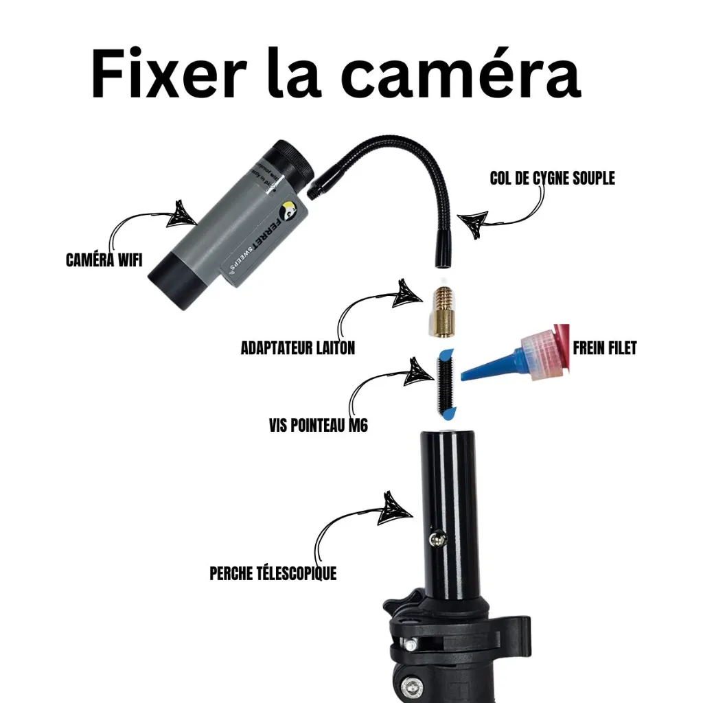 nouveautés (5).webp